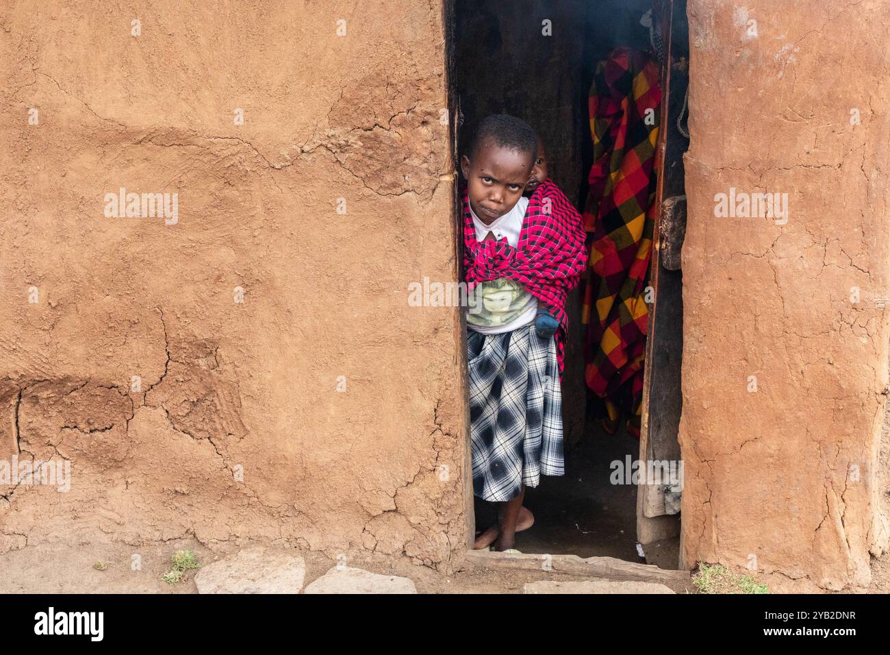 Girl with cow dung hi-res stock photography and images - Alamy