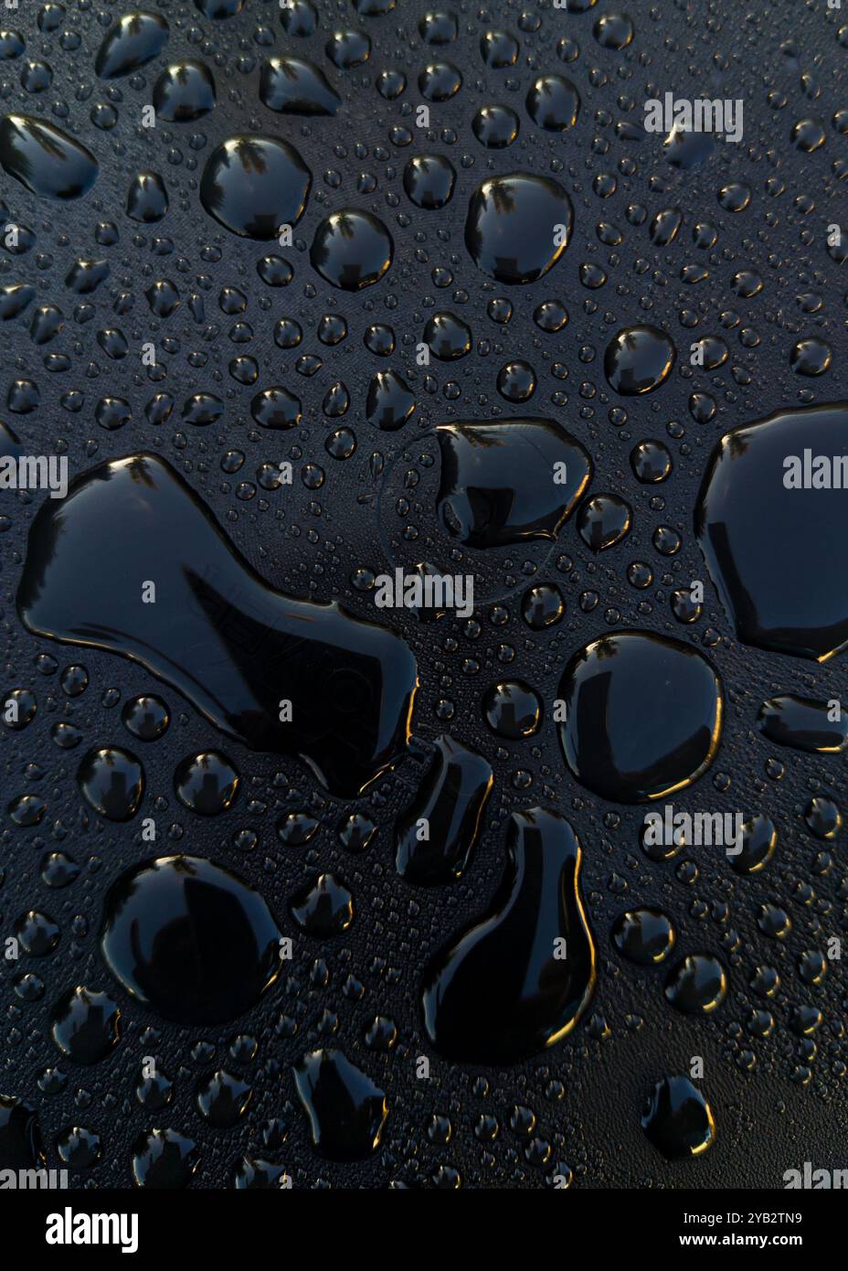 Water droplets on black surface creating reflective shapes Stock Photo
