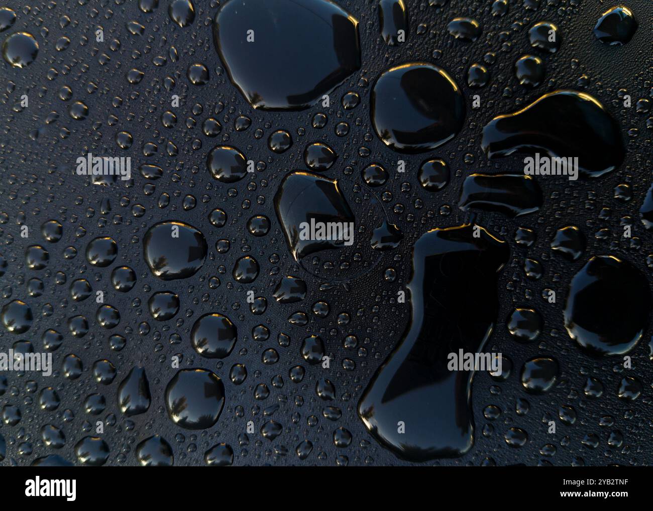 Abstract water droplets on reflective black surface Stock Photo