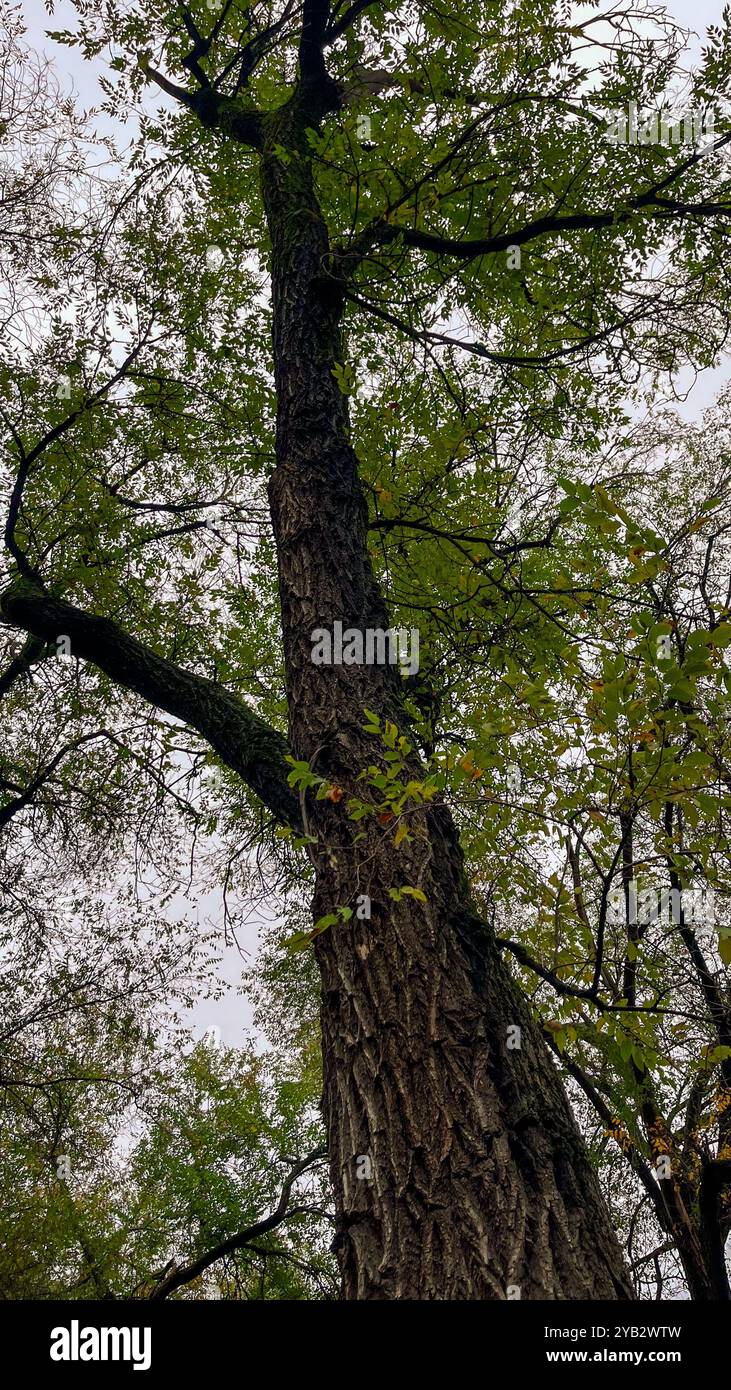 Natureinspires hi-res stock photography and images - Alamy