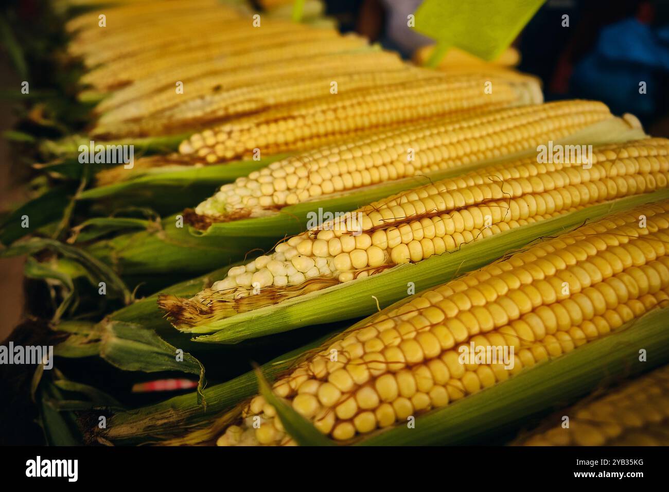 Corn on the cob Stock Photo