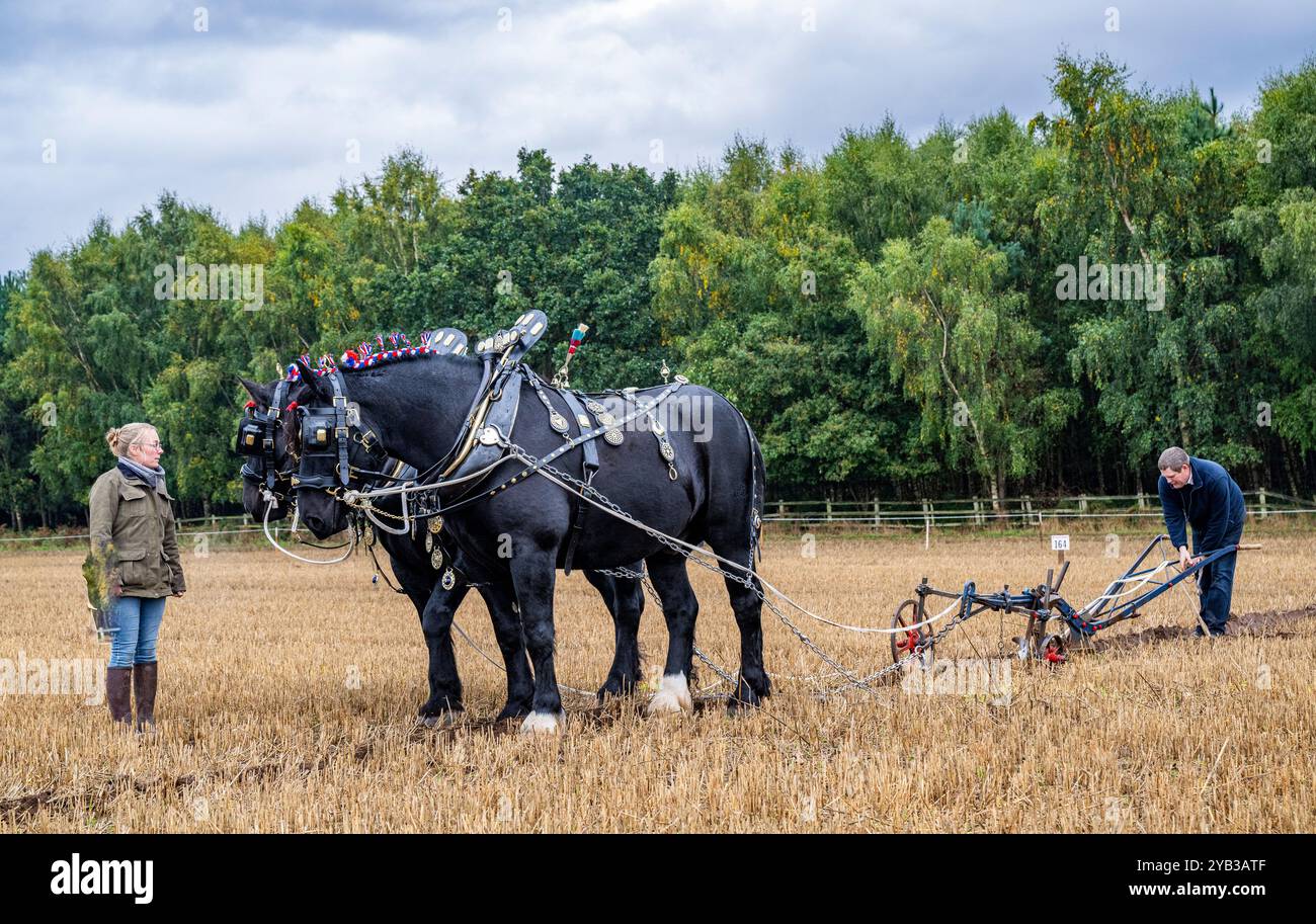 perlethorpe-nottinghamshire-the-british-national-ploughing