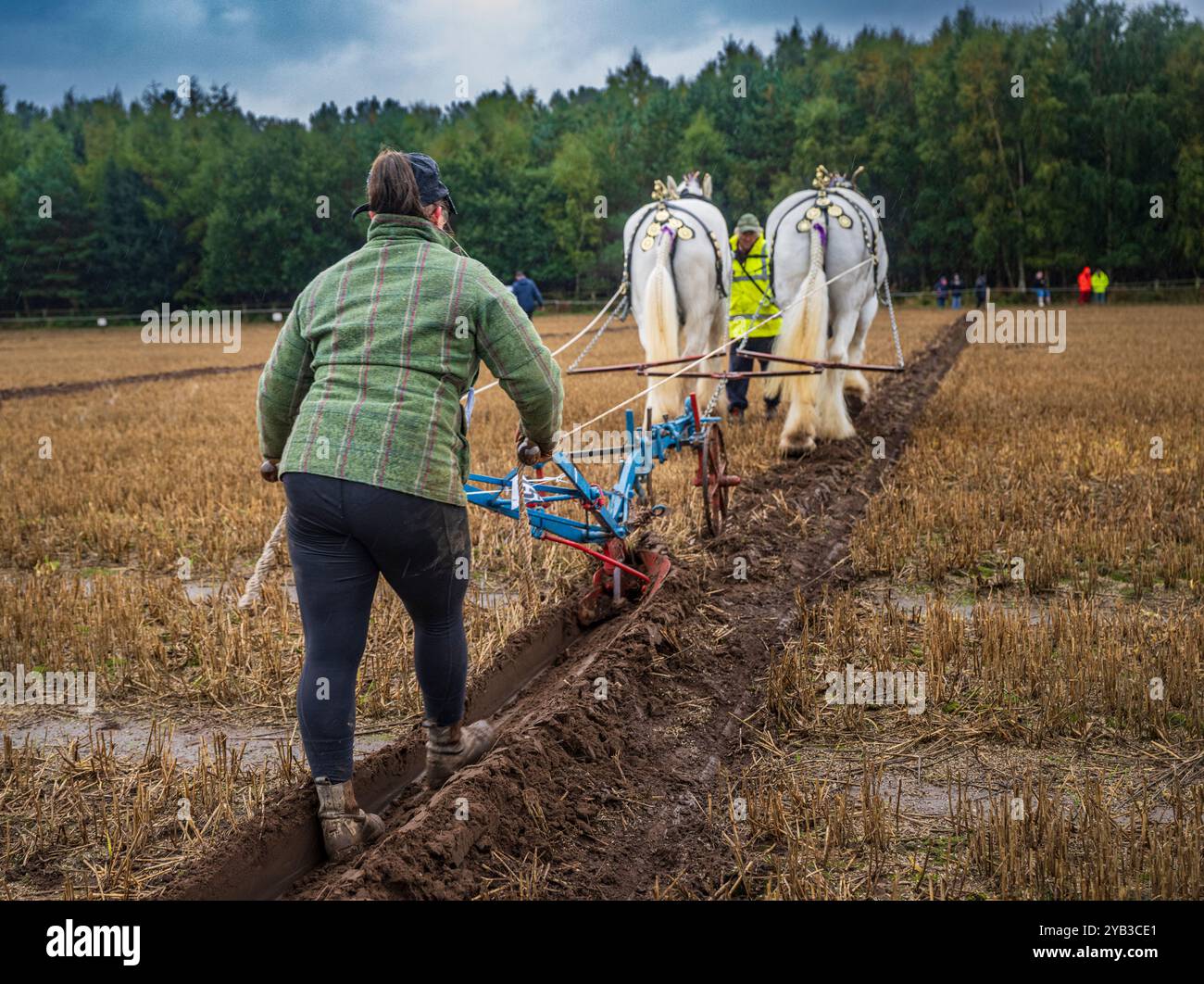 Perlethorpe, Nottinghamshire, The British National Ploughing Championships & Country Festival - Traditional heavy horse plough the straightest furrow Stock Photo