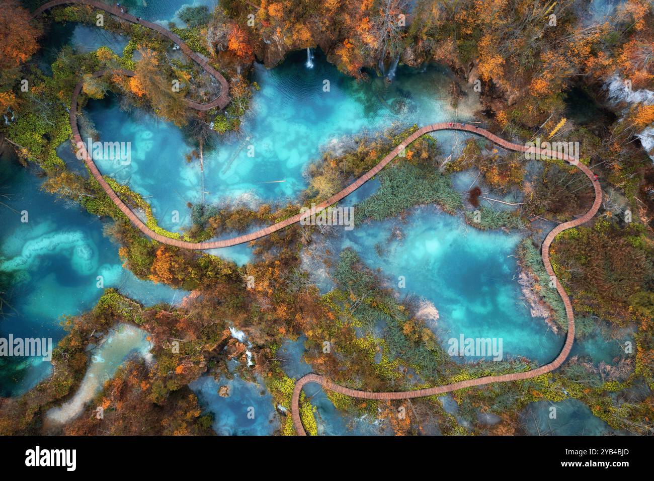 Aerial view of blue lakes in red autumn forest at sunrise Stock Photo ...