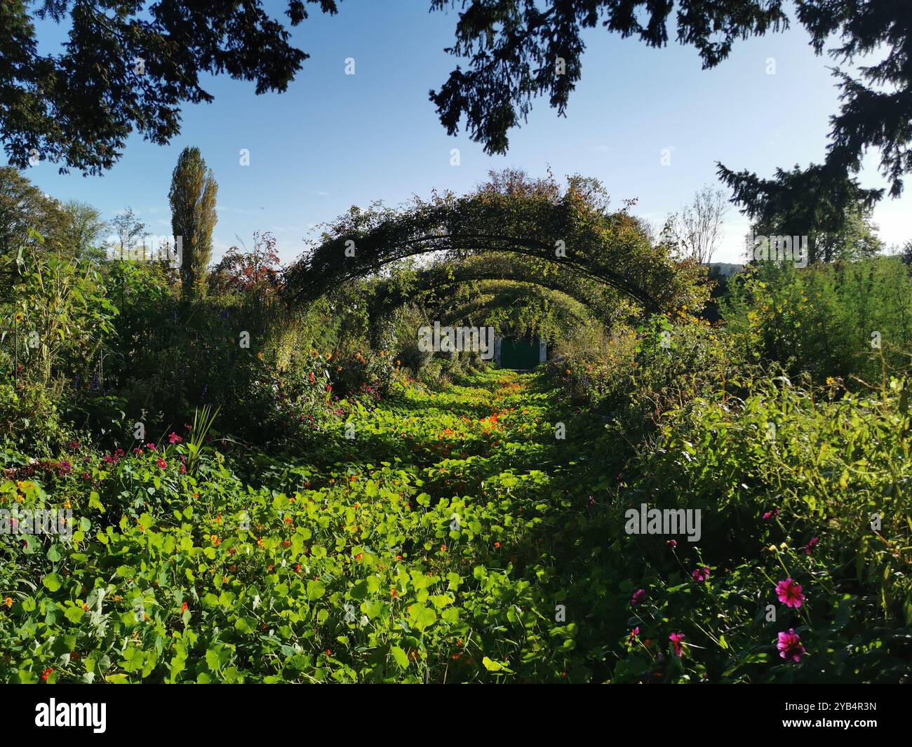 Monet's garden at Giverny, Normandy, France on an October afternoon. - Smartphone Captured Stock Image