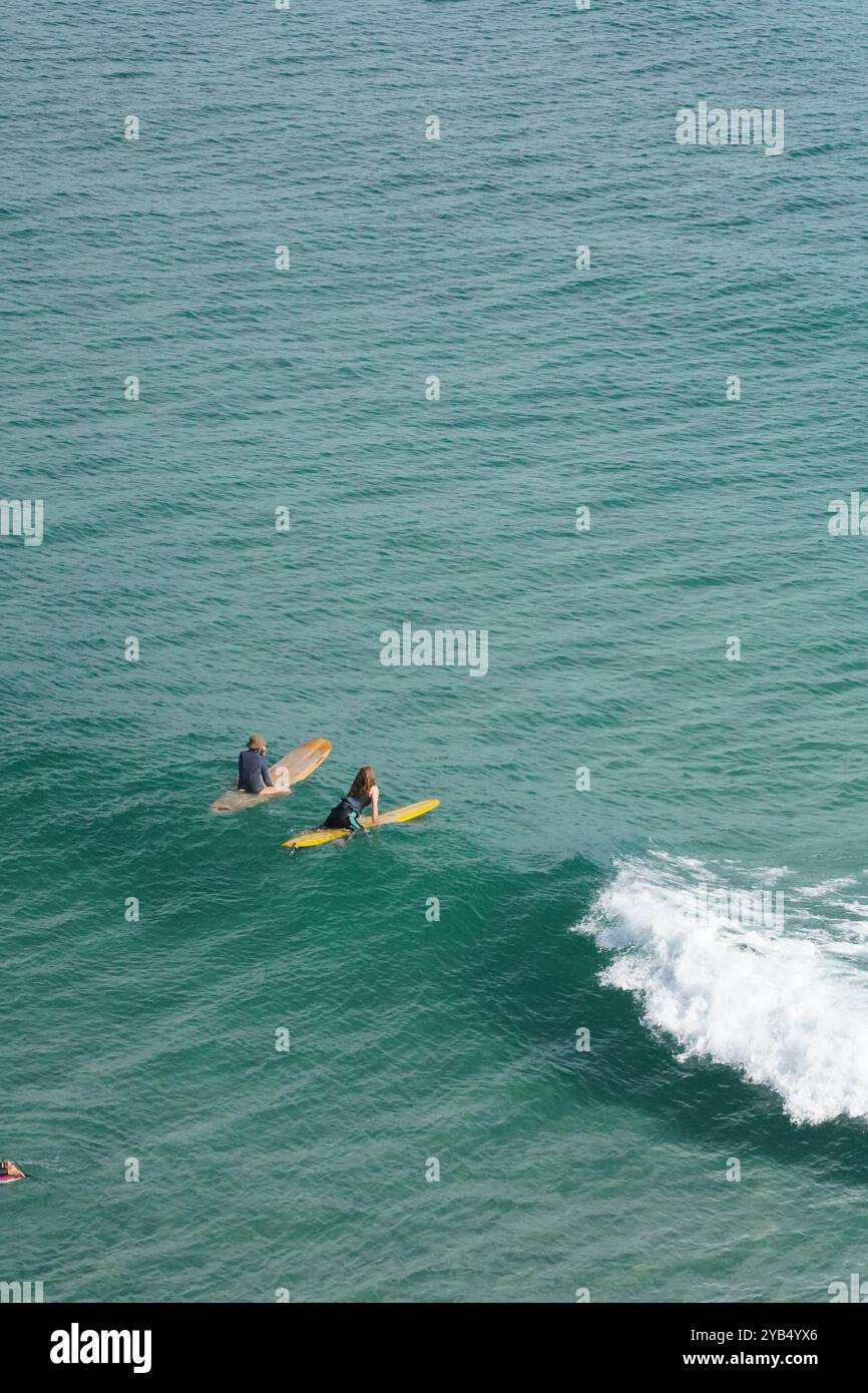 Log riders' paradise Stock Photo - Alamy