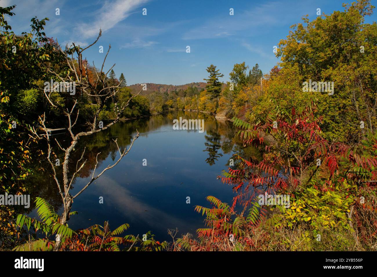 Tranquility and autumn colour along the North River, Quebec. Stock Photo