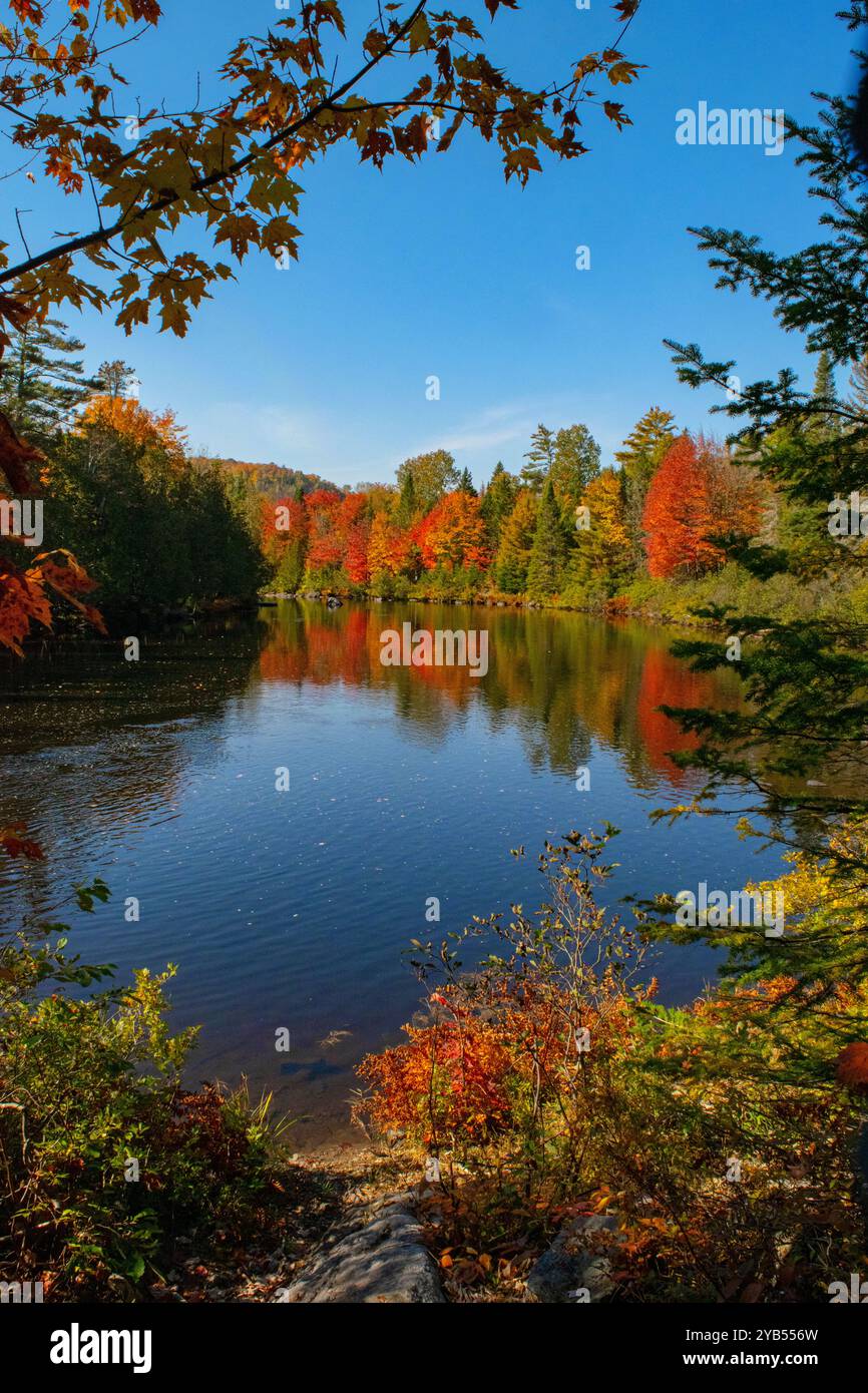 Tranquility and autumn colour along the North River, Quebec. Stock Photo