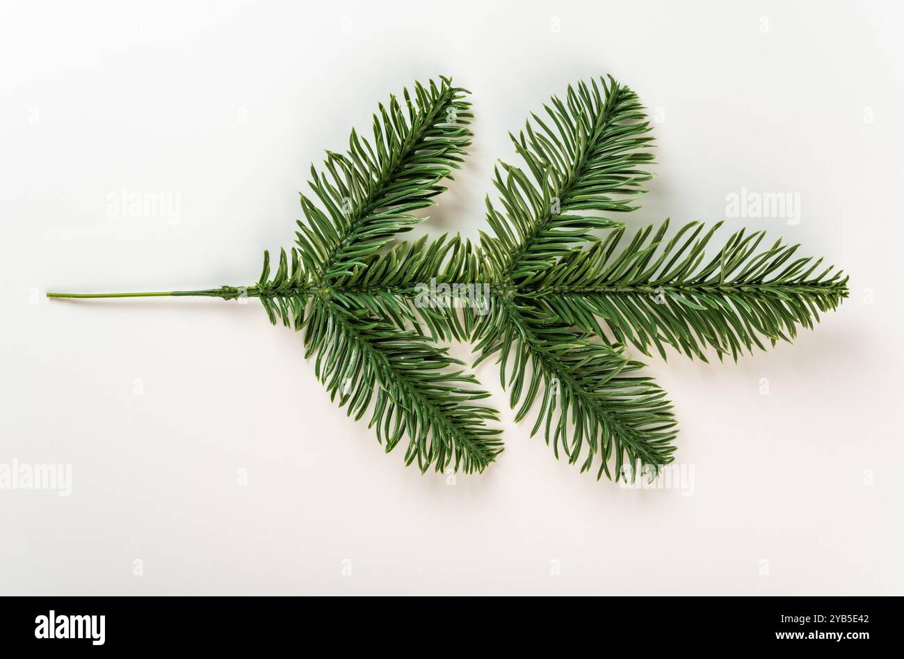 Branch artificial fir tree hi-res stock photography and images - Alamy