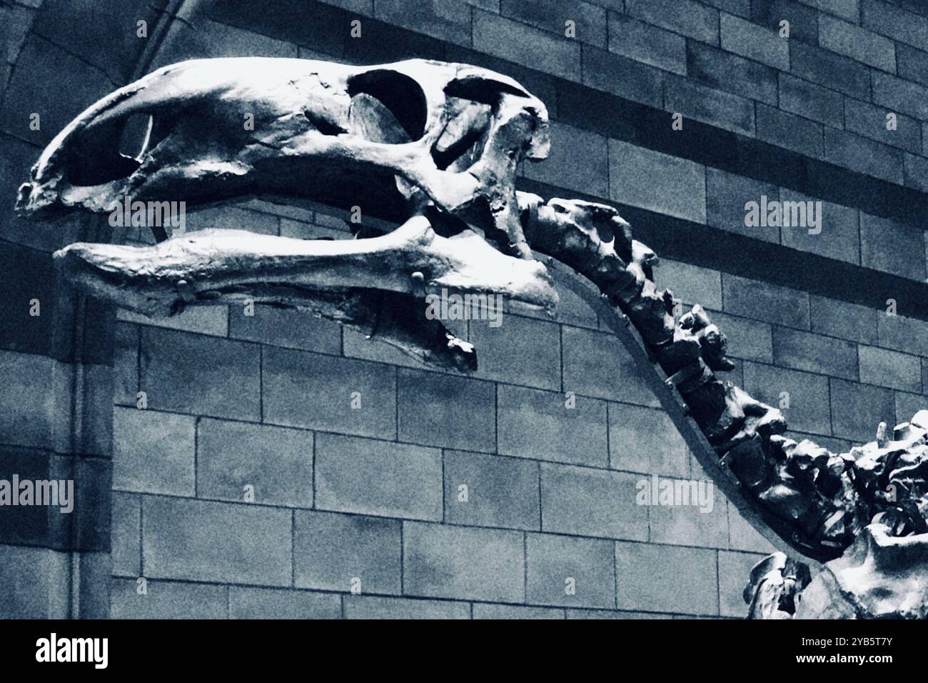 Mantellisaurus atherfieldensis hi-res stock photography and