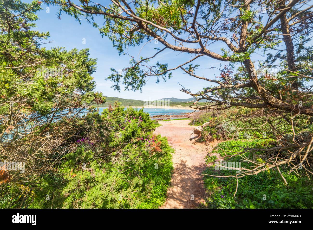 Sunny beach in springtime hi-res stock photography and images - Alamy