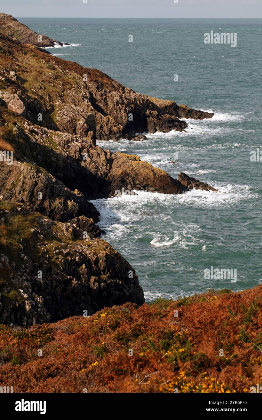 Strumble Head Rocks Strumble head cardigan bay hi-res stock photography and images - Alamy
