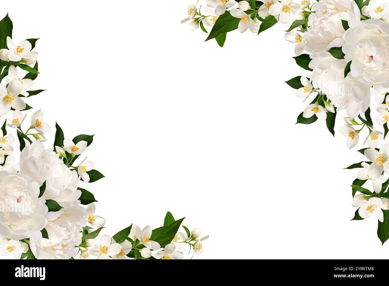 Flower corner arrangement. Delicate floral frame with white peony and jasmine flowers. Stock Photo