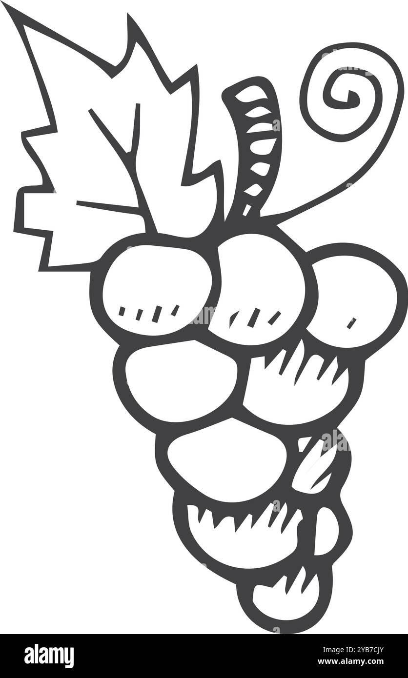 Grape bunch doodle. Vineyard hand drawn icon Stock Vector Image & Art ...