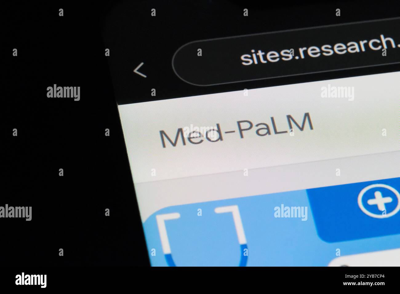 Med-PaLM logo sign on official website. Large language model (LLM) for medical Stock Photo