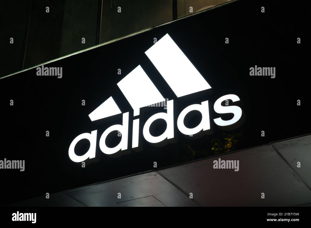 Adidas sports (china) co. ltd ny online