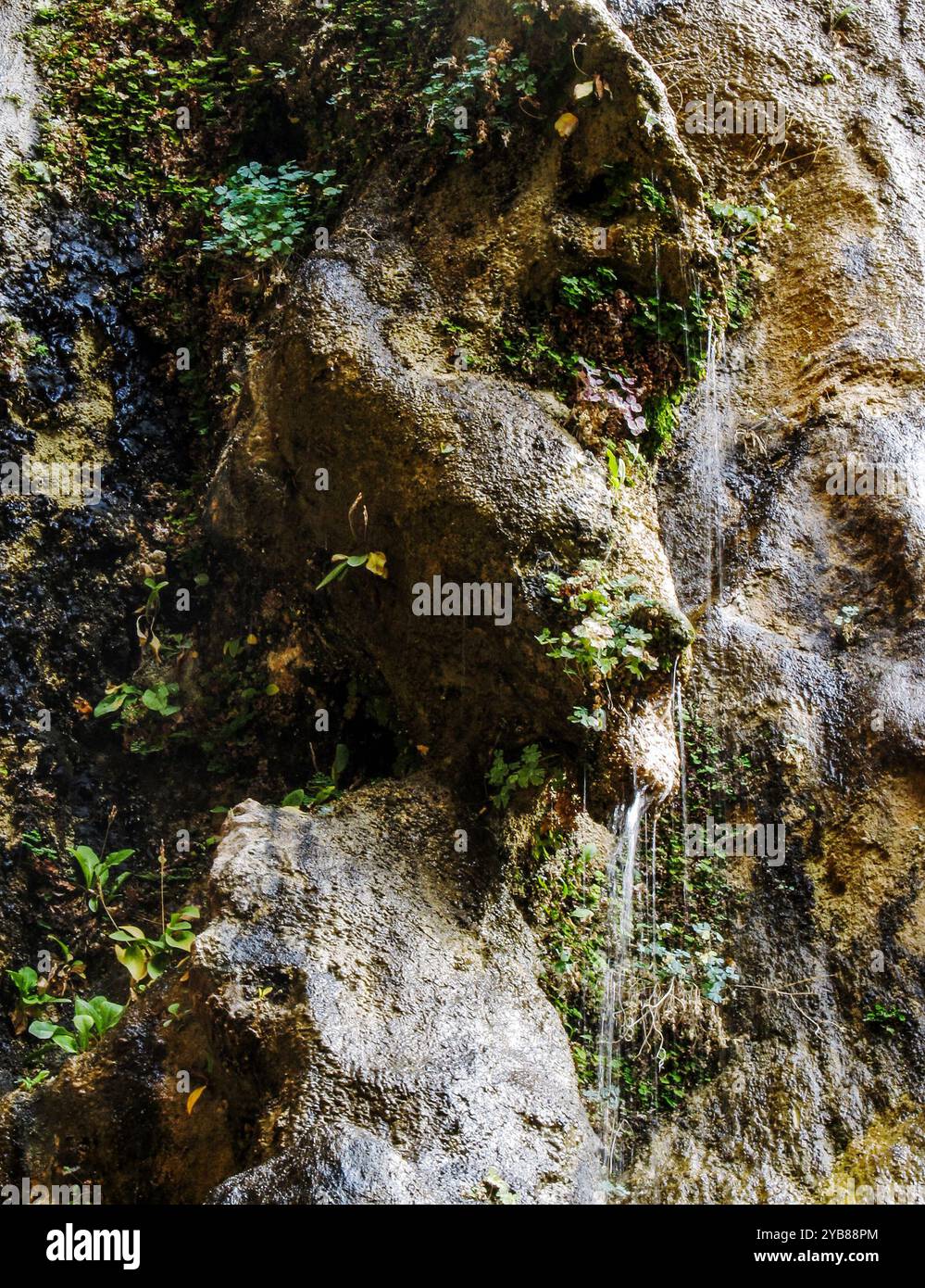 Knobbly Rocks Knobby rock hi-res stock photography and images - Alamy