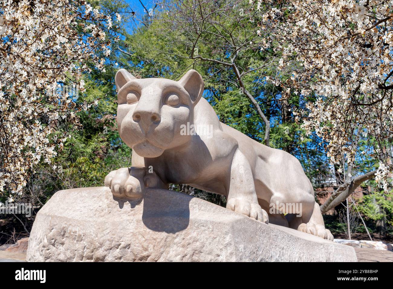 Nittany Lion on the campus of Penn State University in spring day Stock Photo