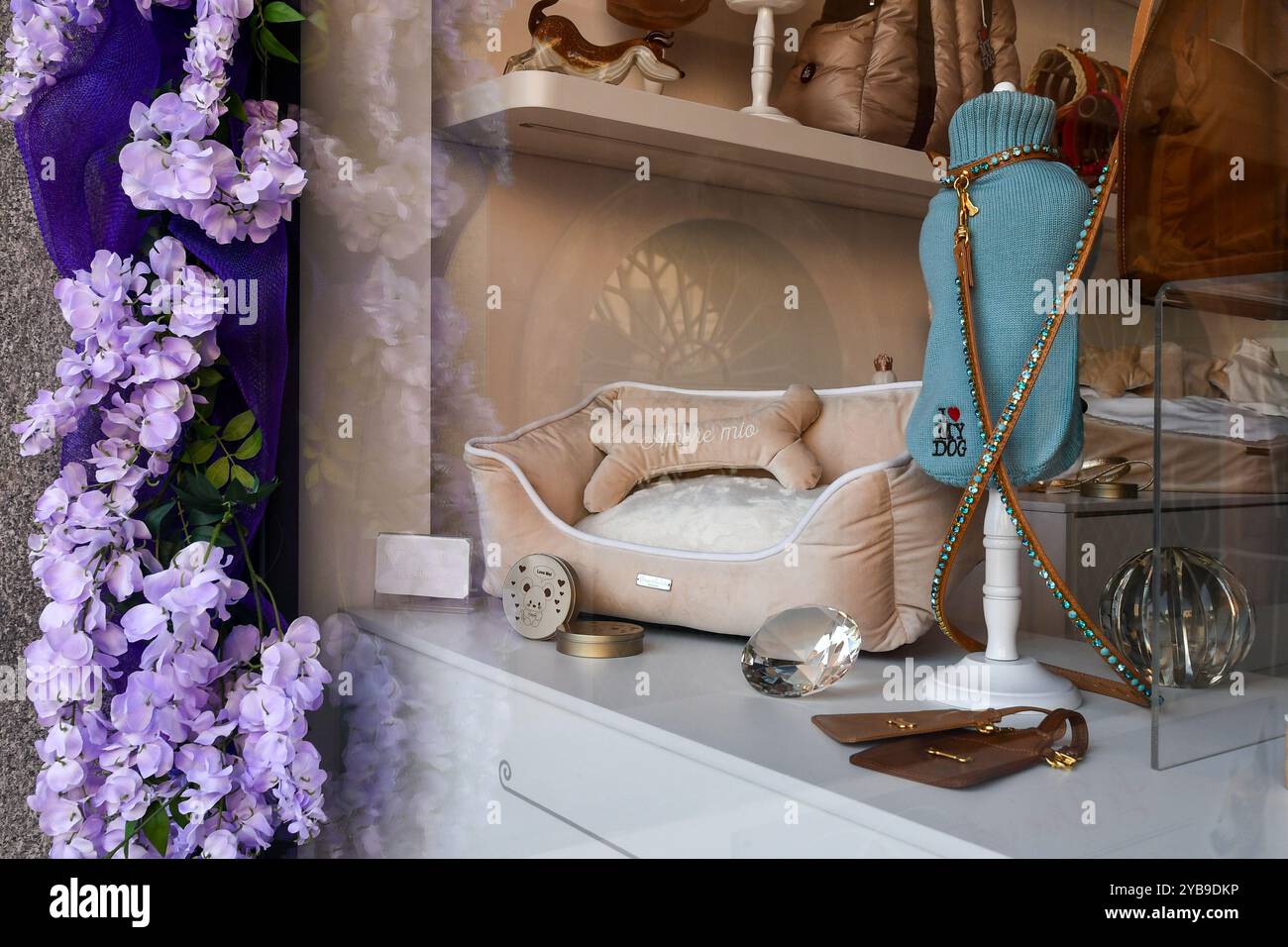 the-shop-window-of-a-luxury-pet-shop-with-dog-clothes-and-accessories