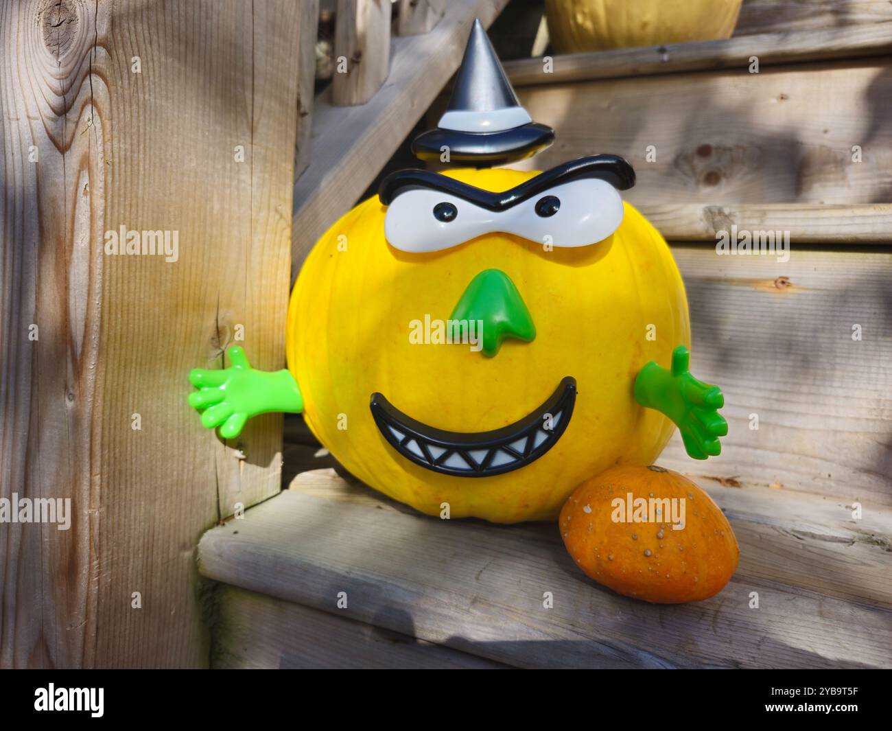Funny face Yellow Pumpkin decorated for Halloween, with plastic body parts used to make look like a witch - Smartphone Captured Stock Image