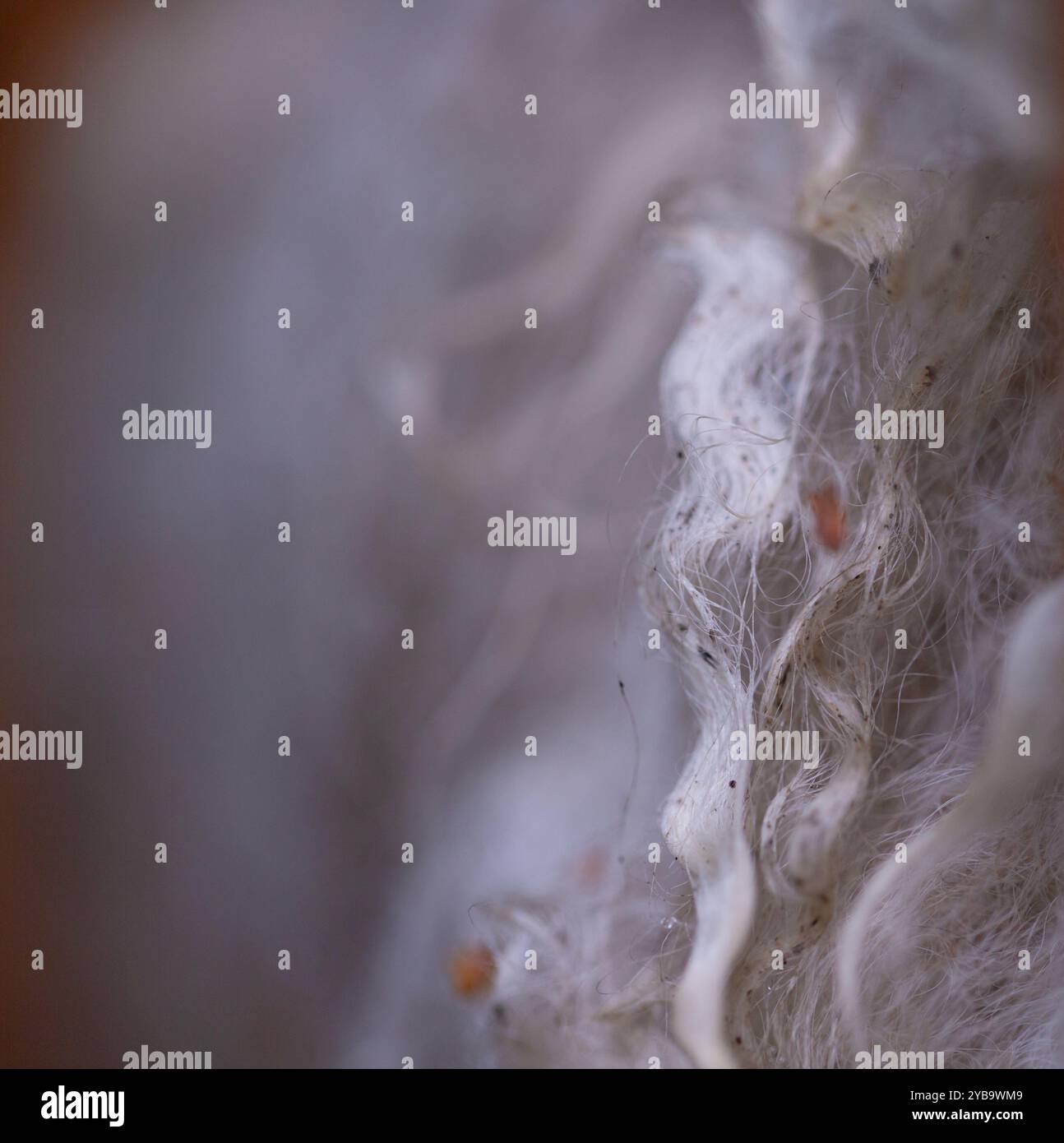 Abstract macro close-up of wool fibres in the darkened recess of an ...