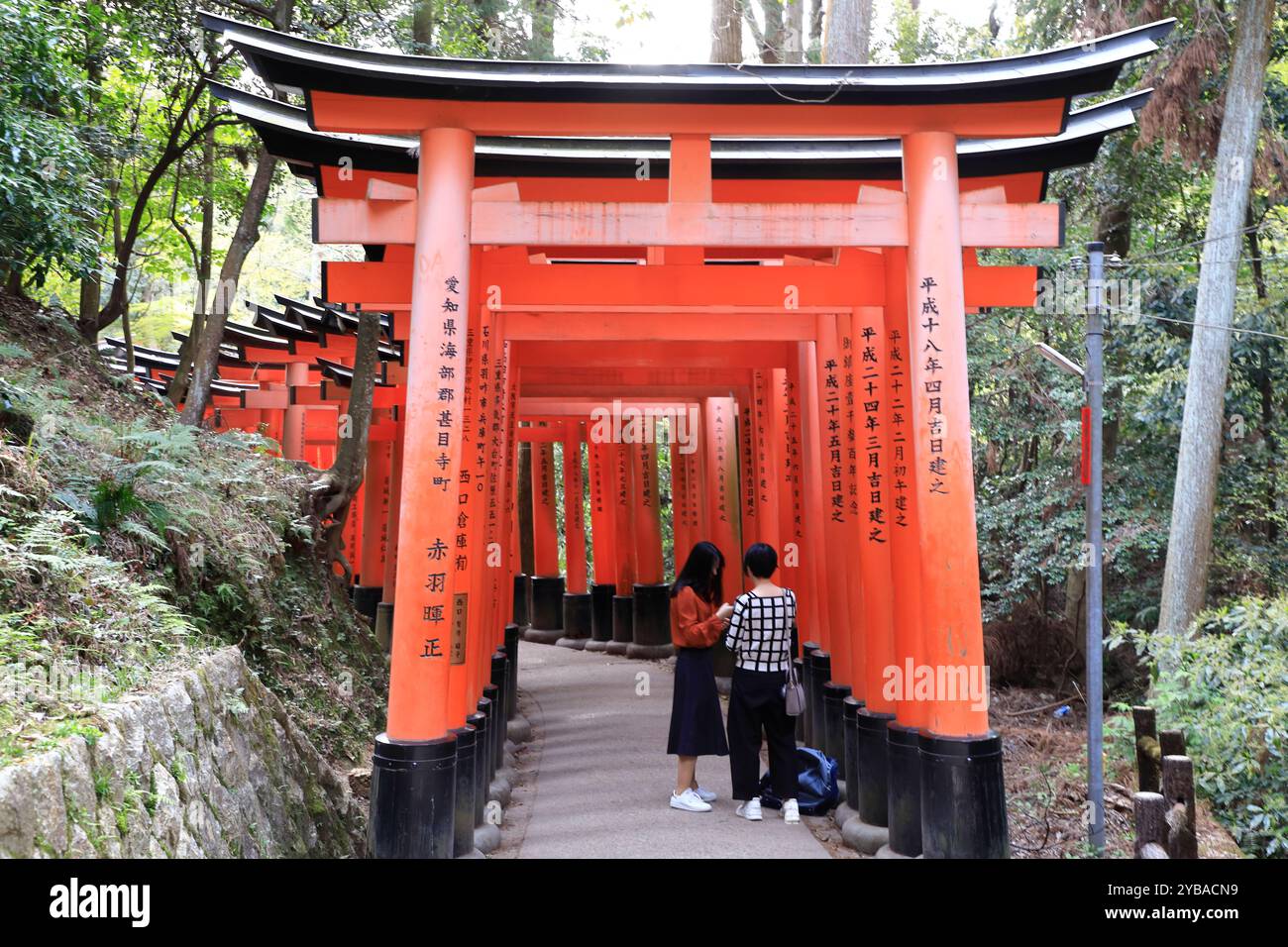Senbon Torii gates in Fushimi Inari-taisha shrine. Kyoto,Kansai,Japan ...