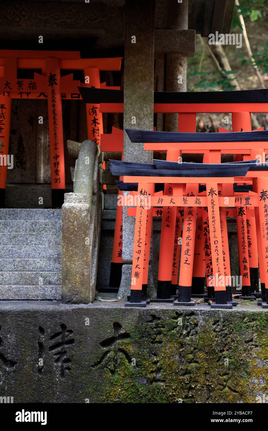 Small Torill gates decorating the Fushimi Inari-taisha shrine. Kyoto,Kansai,Japan Stock Photo
