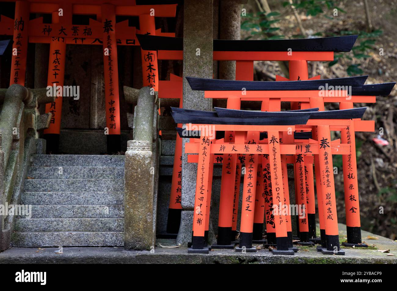 Small Torill gates decorating the Fushimi Inari-taisha shrine. Kyoto,Kansai,Japan Stock Photo