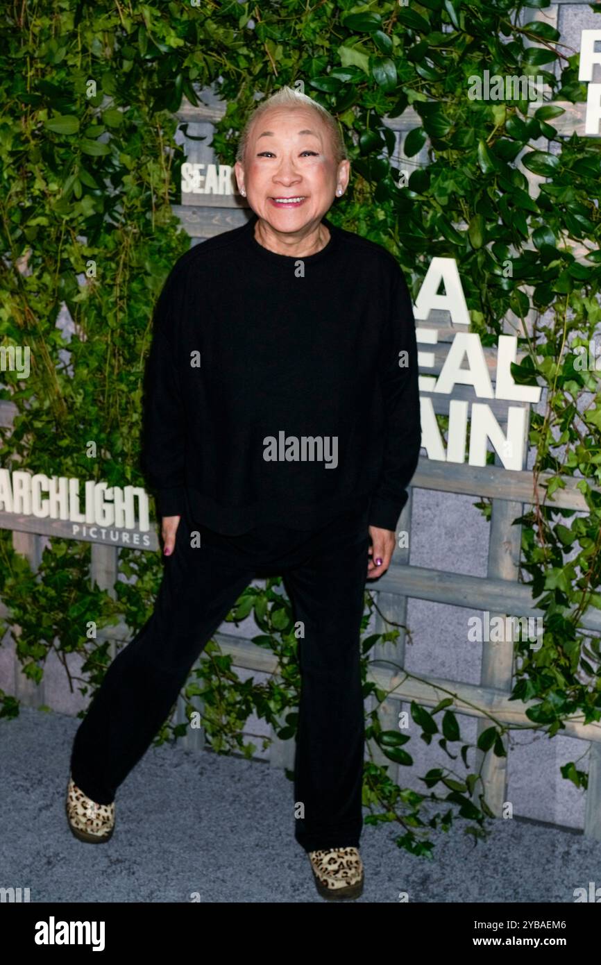 New York, United States. 17th Oct, 2024. Lori Tan Chinn during the A REAL PAIN New York Special Screening, held at MOMA in New York City, New York, USA, Thursday October 17, 2024. Credit: Jennifer Graylock/Alamy Live News Stock Photo