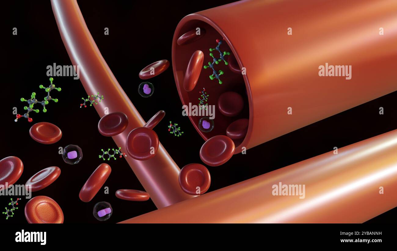 3d rendering of Perfluorooctanoic acid (PFOA) molecules, that nearly everyone has detectable levels in their blood. Stock Photo