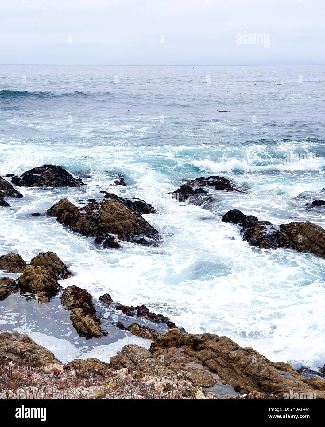 Overcast day at Pebble Beach in California with blue waves crashing and splashing into brown rocks and creating sea foam in fall. - Smartphone Captured Stock Image