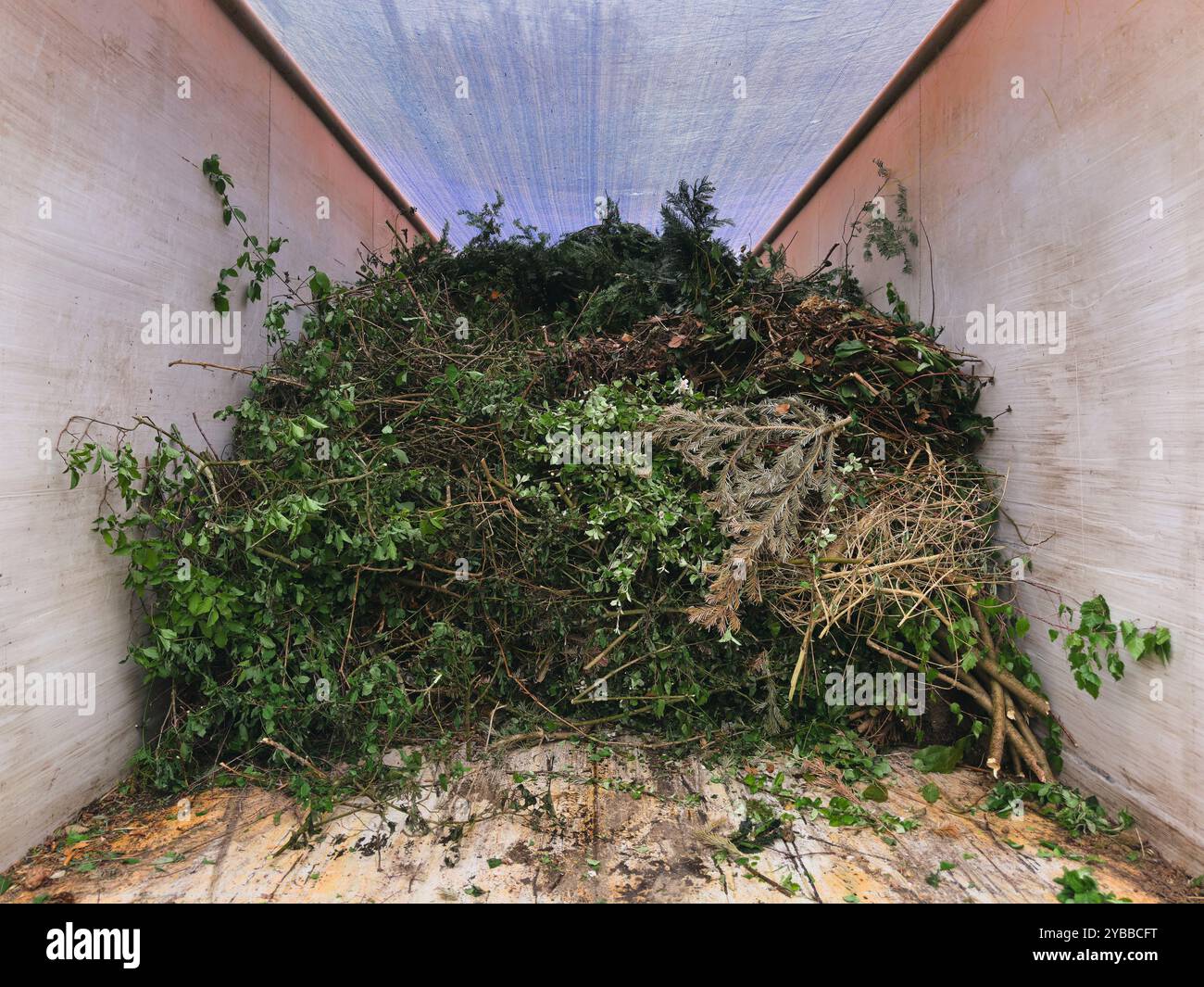 grounded planter box Clariance Planter