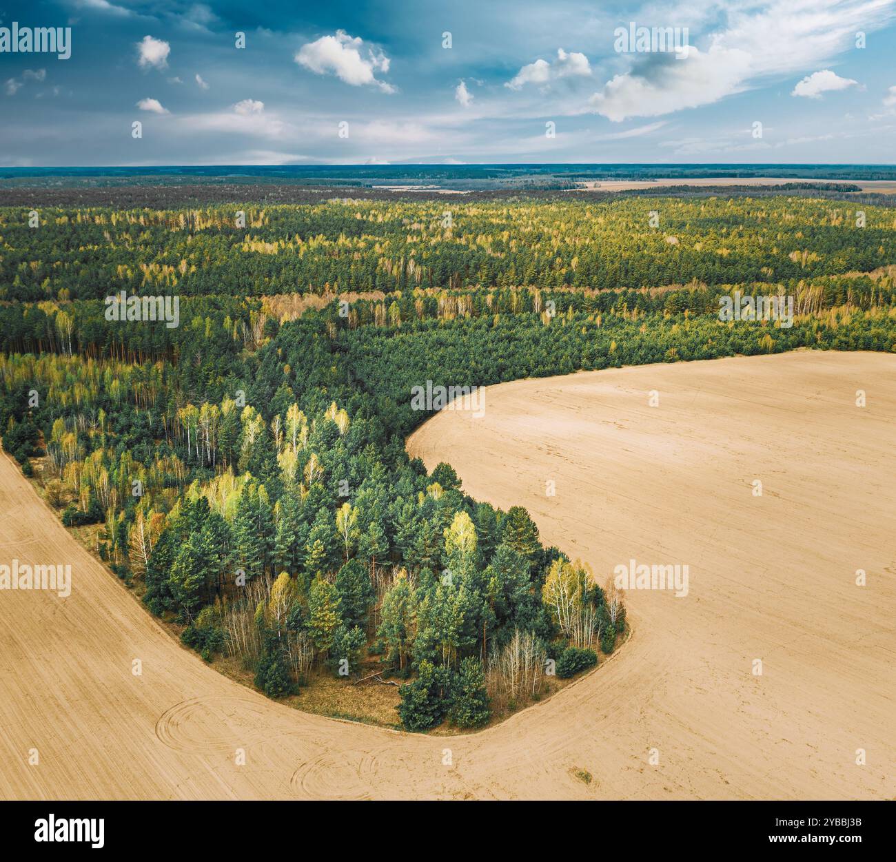 Aerial Top View Of Agricultural Landscape With Growing Forest Trees On ...