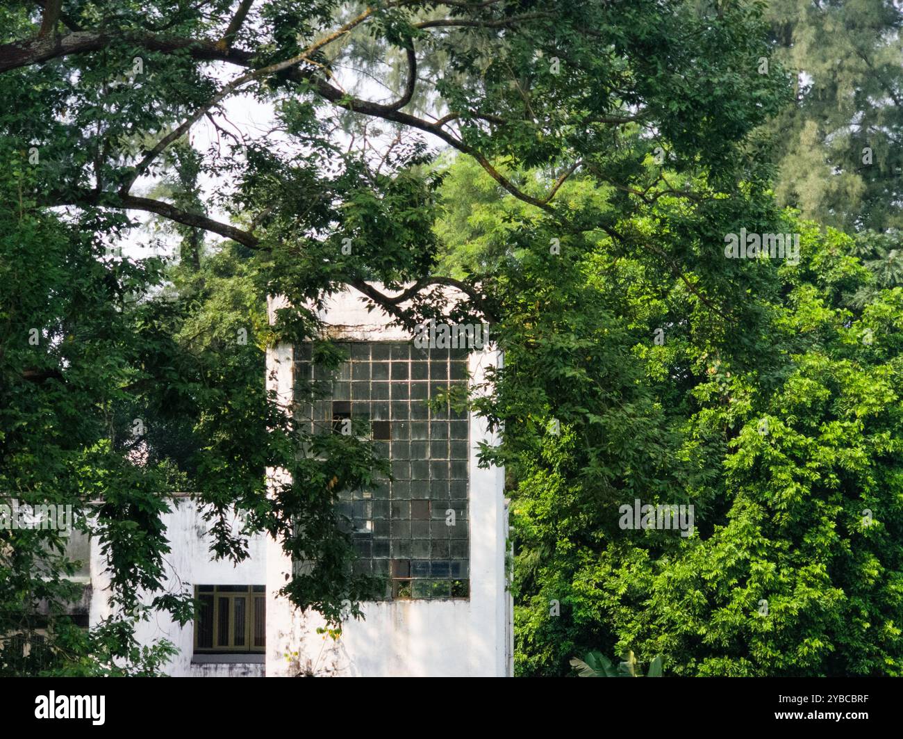 Old building and nature a balance of world. The picture represent a ...