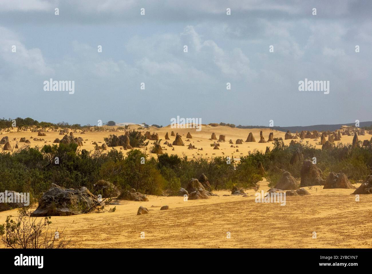 The Pinnacles Desert Park in Nambung National Park, Western Australia ...