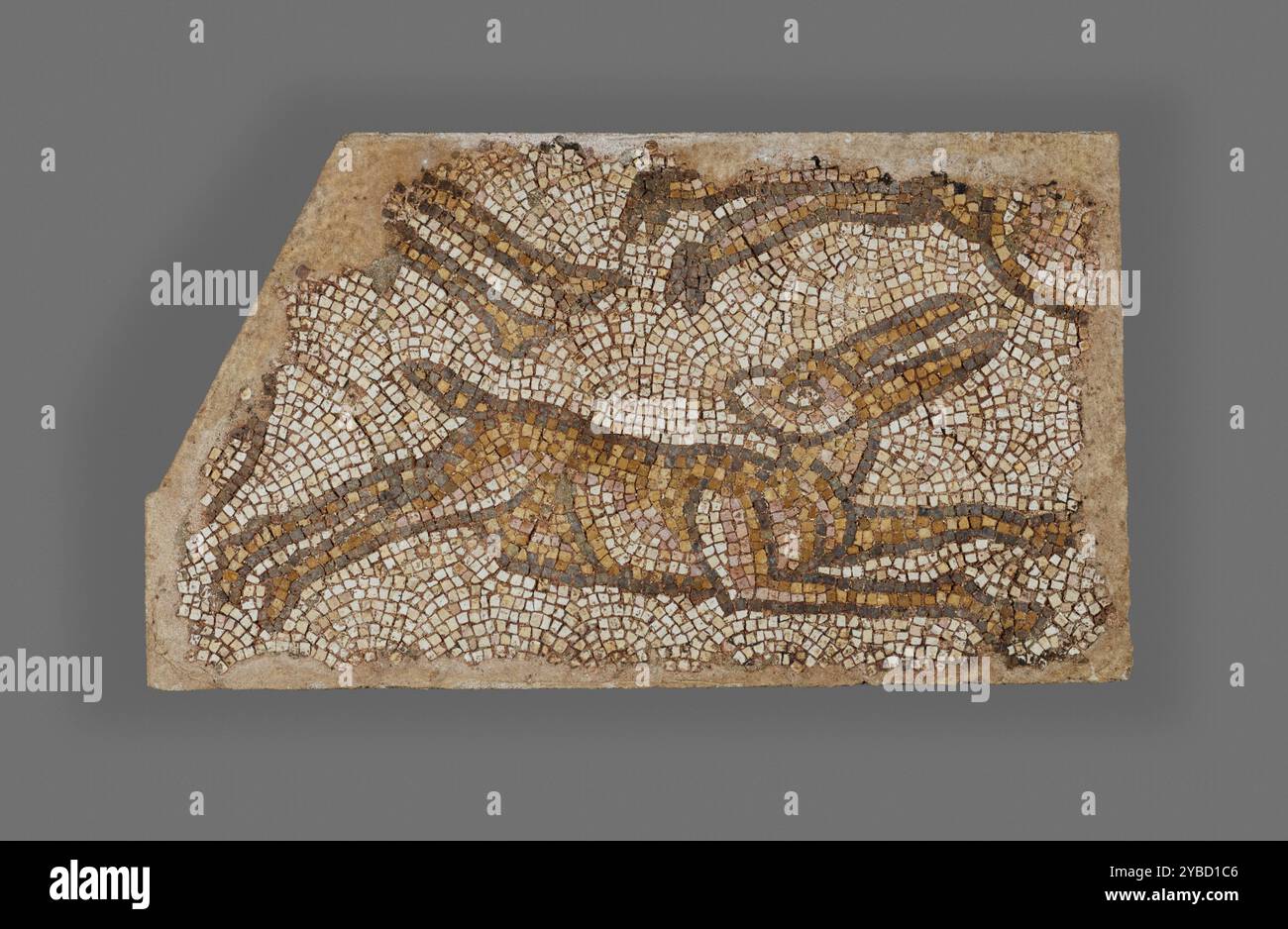 Mosaic of a Rabbit, 5th-6th century. Additional Info: Fragment of a ...
