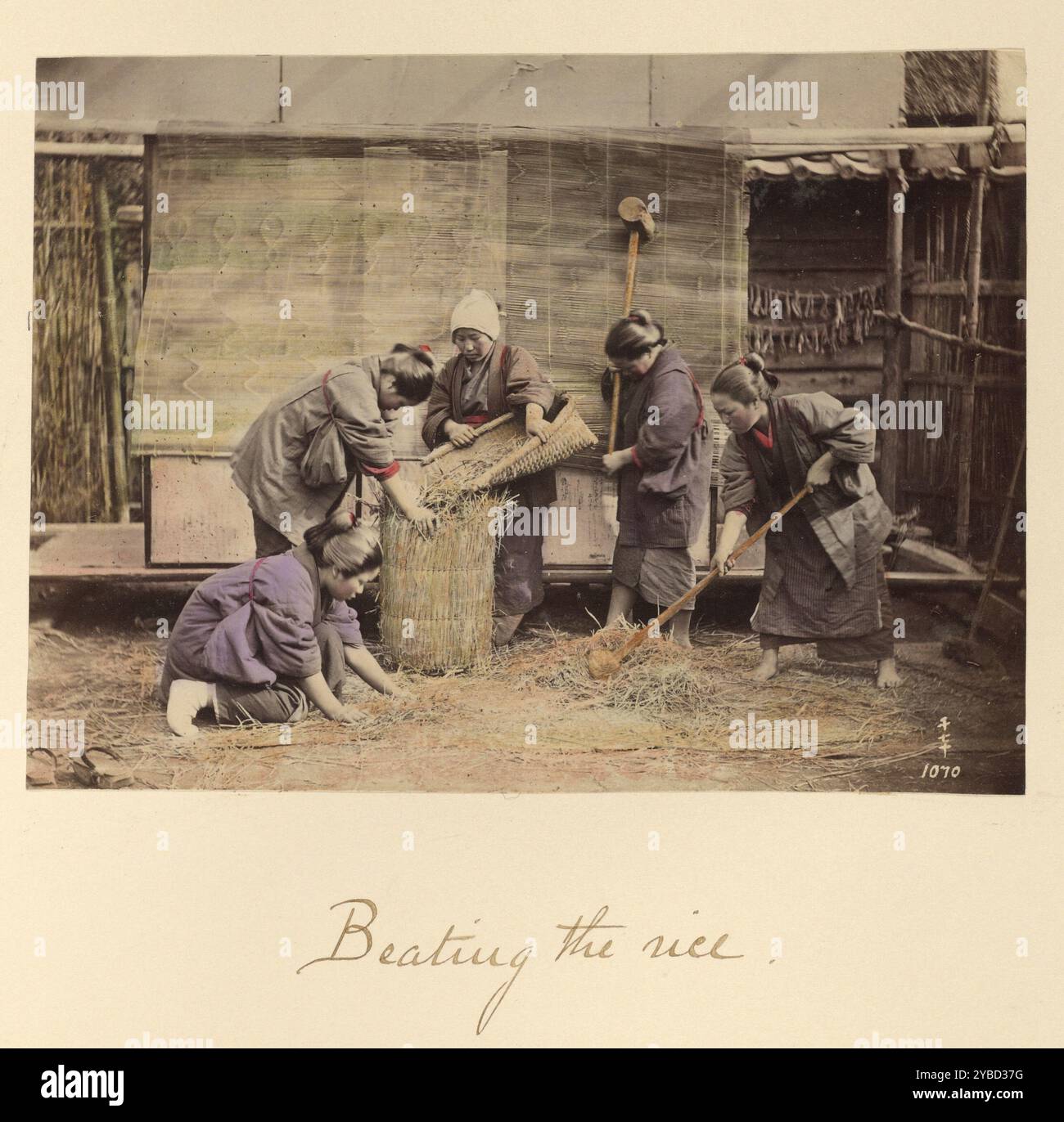 Tinted rice hi-res stock photography and images - Alamy