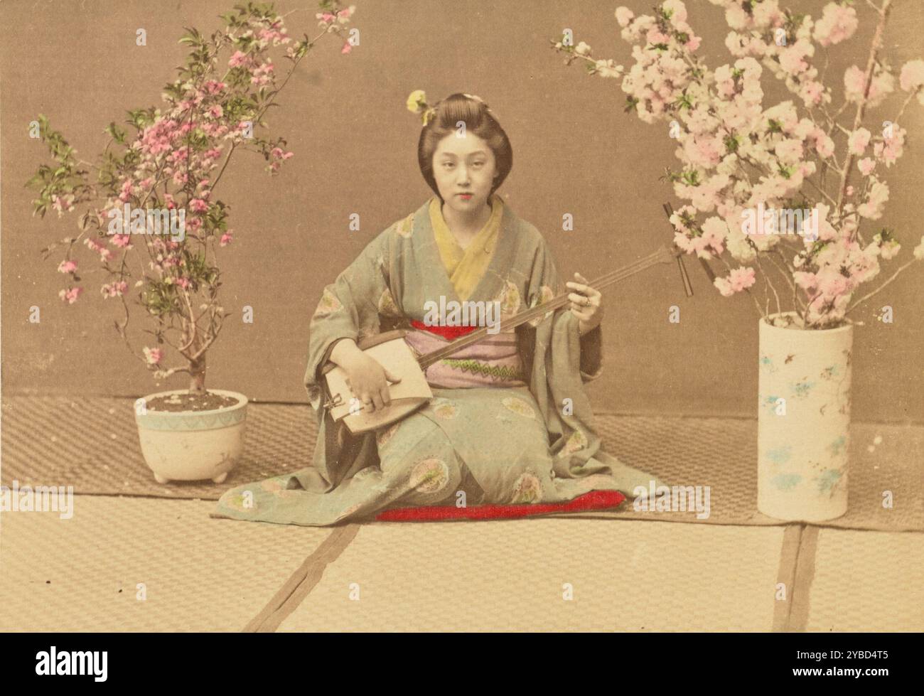 Geisha Playing Samisen, 1897. Stock Photo