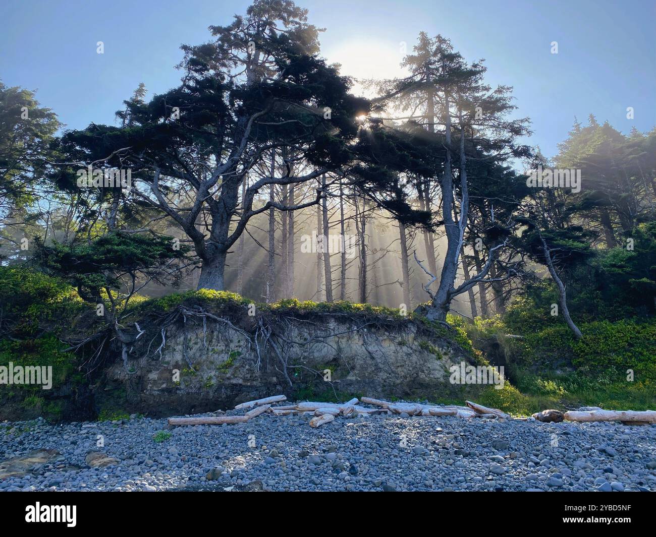 portland beachse - Smartphone Captured Stock Image