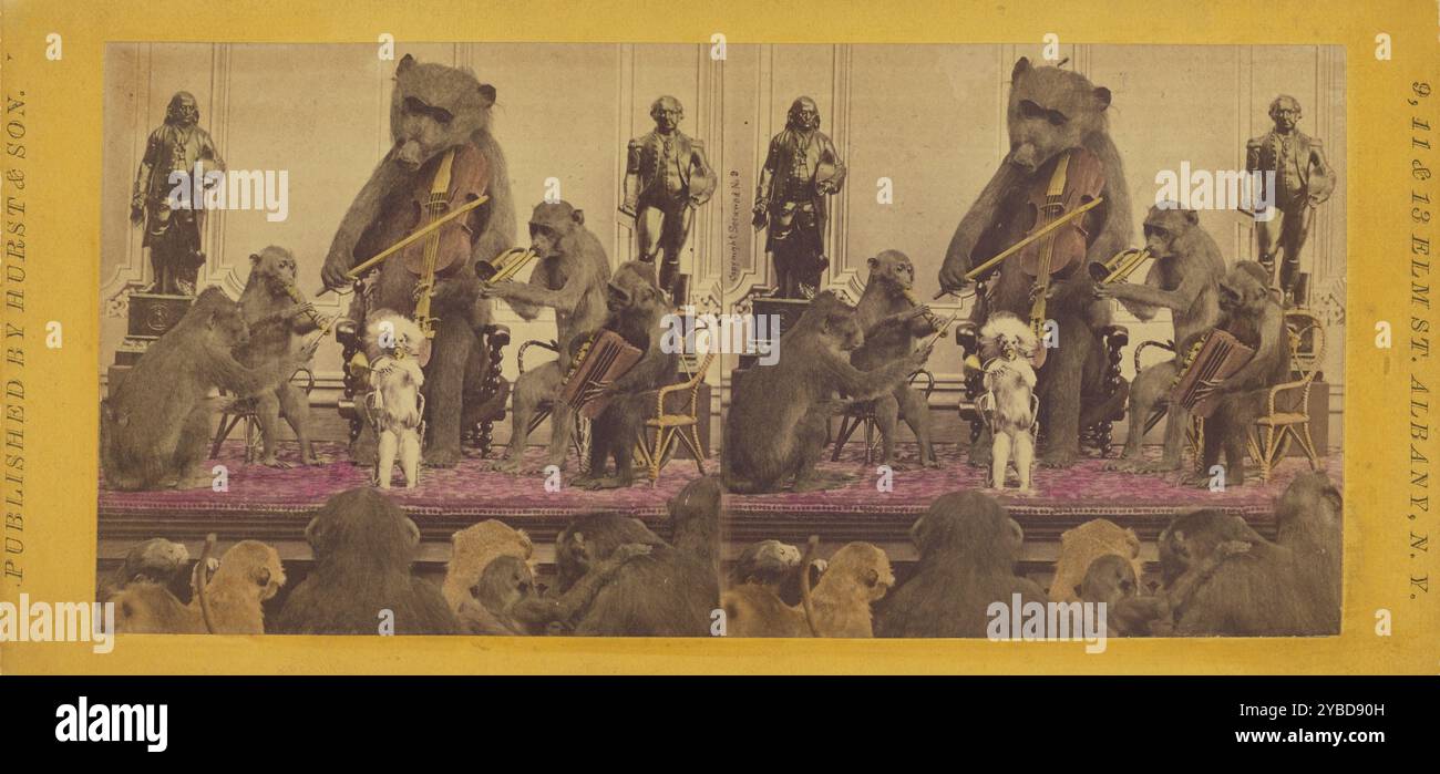 Brass monkey band hires stock photography and images Alamy