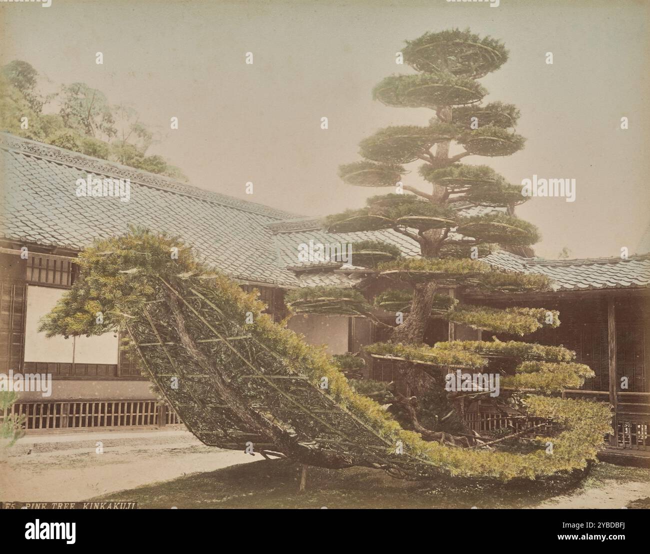 絵画 TREE Guo Xi | Old Trees, Level Distance | China | Northern Song