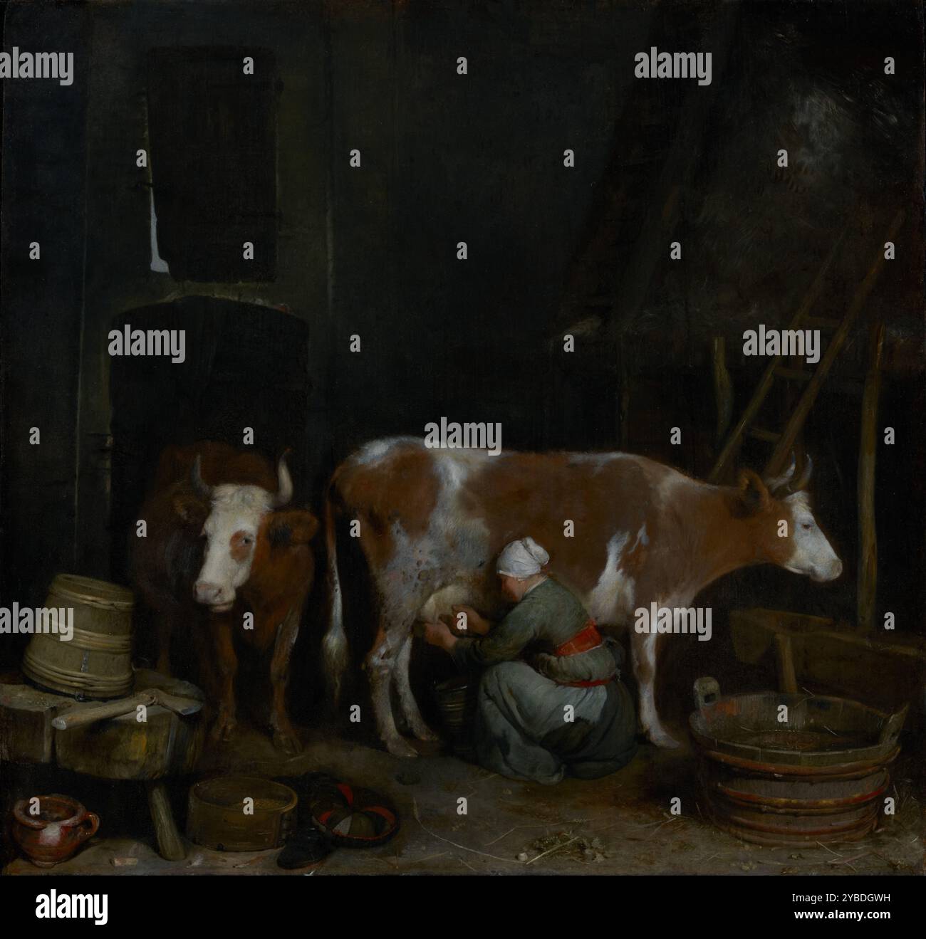 A Maid Milking a Cow in a Barn, about 1652-1654.  Additional Info: In a barn, a young maid squats while milking a brown and white spotted cow. Standing nearby, another cow seems to be waiting its turn. Gerard ter Borch treated the routine chore of milking in a straightforward manner, rejecting the humorous themes often favored by seventeenth-century Dutch genre painters. He was especially skilled at rendering the textures and surfaces of objects like those found in the foreground: the roughly hewn stool, the wooden basin filled with water, the chipped ceramic crock, and the shiny metal hinges Stock Photo