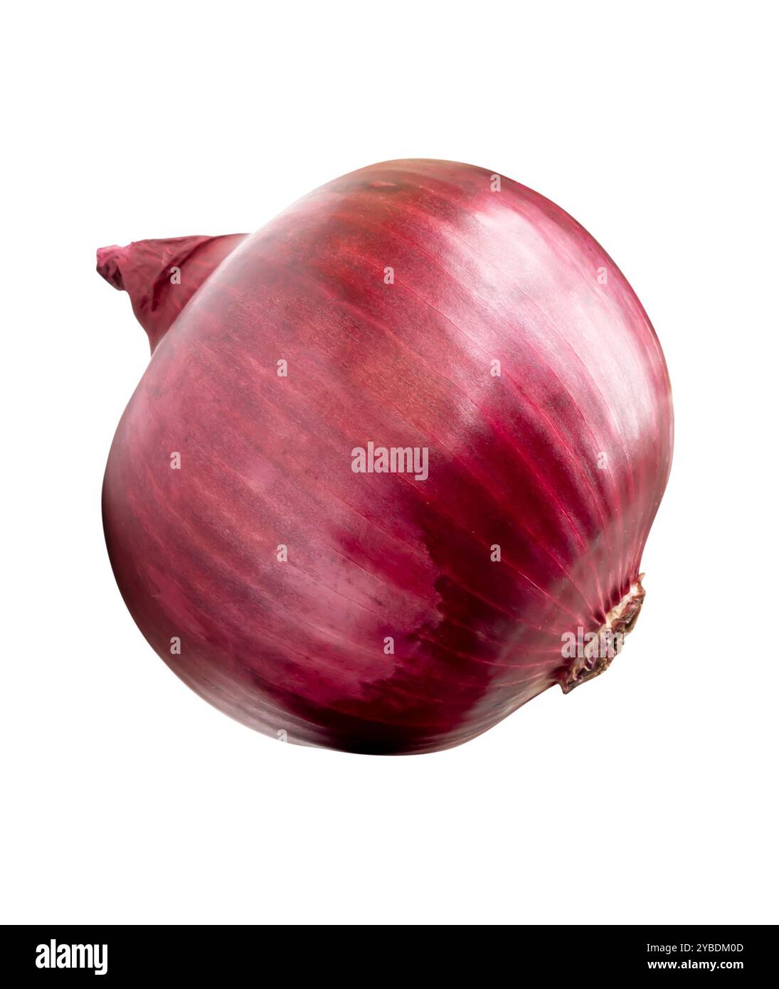 Top view of big red or purple onion bulb is isolated on white ...