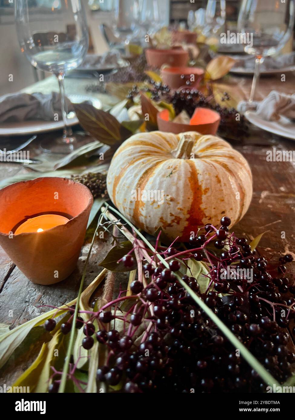 A beautifully set autumn table with a striped pumpkin centerpiece, candles, and berries, creating a warm, festive atmosphere for a Thanksgiving dinner - Smartphone Captured Stock Image