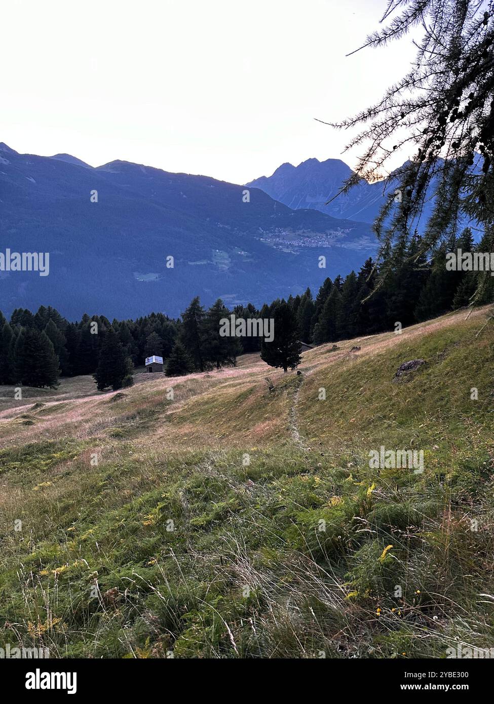 Mountain View - Smartphone Captured Stock Image