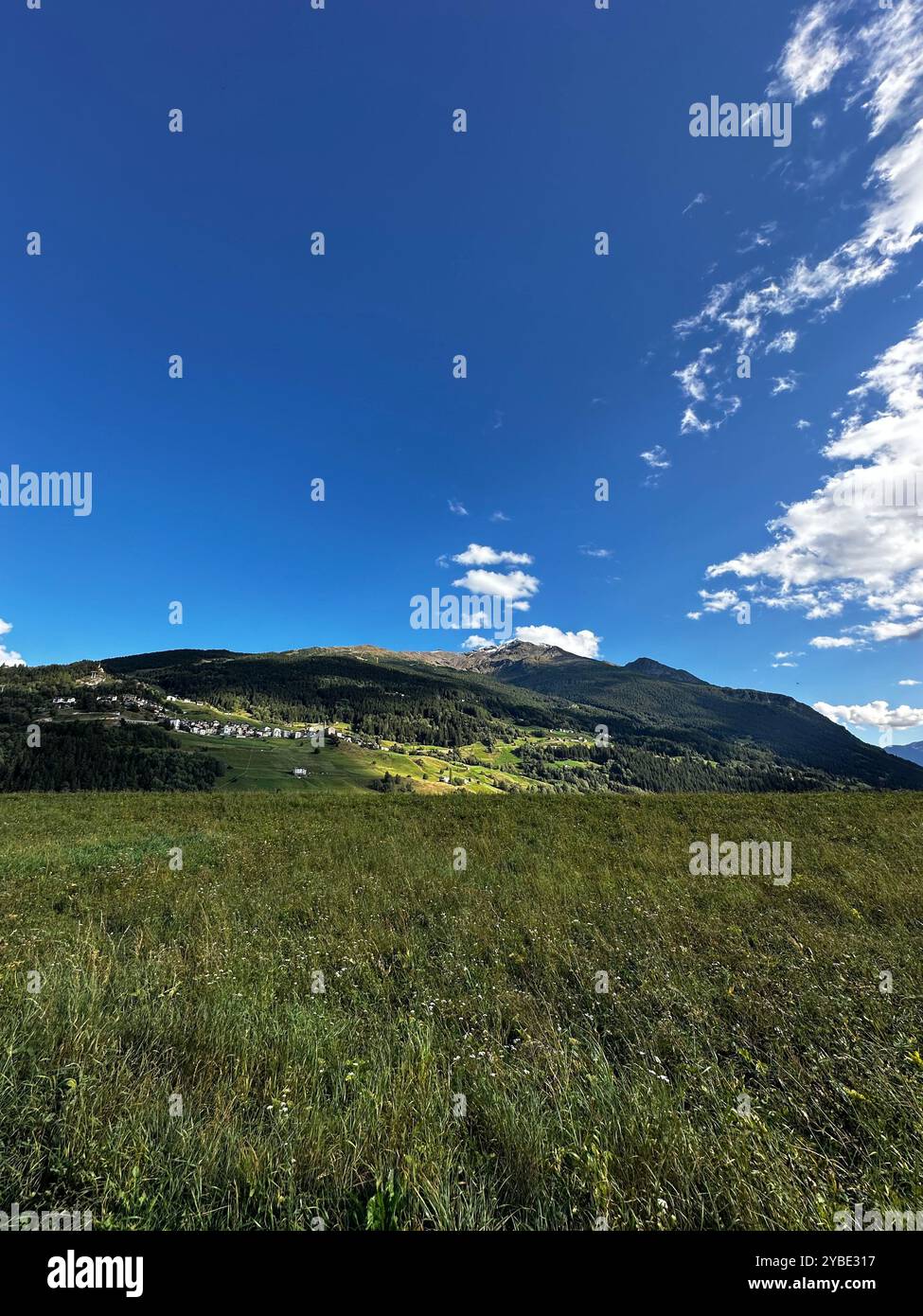 Natural landscape - Smartphone Captured Stock Image