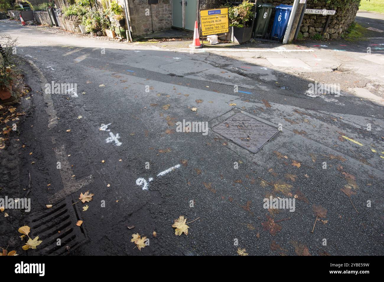 Third time this road has been 'surveyed' and pipes whereabouts etc ...