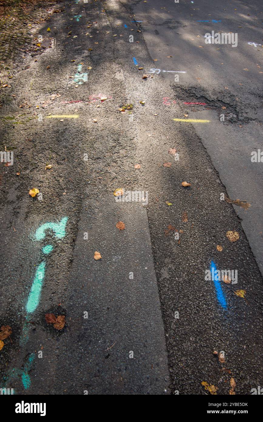 Third time this road has been 'surveyed' and pipes whereabouts etc ...