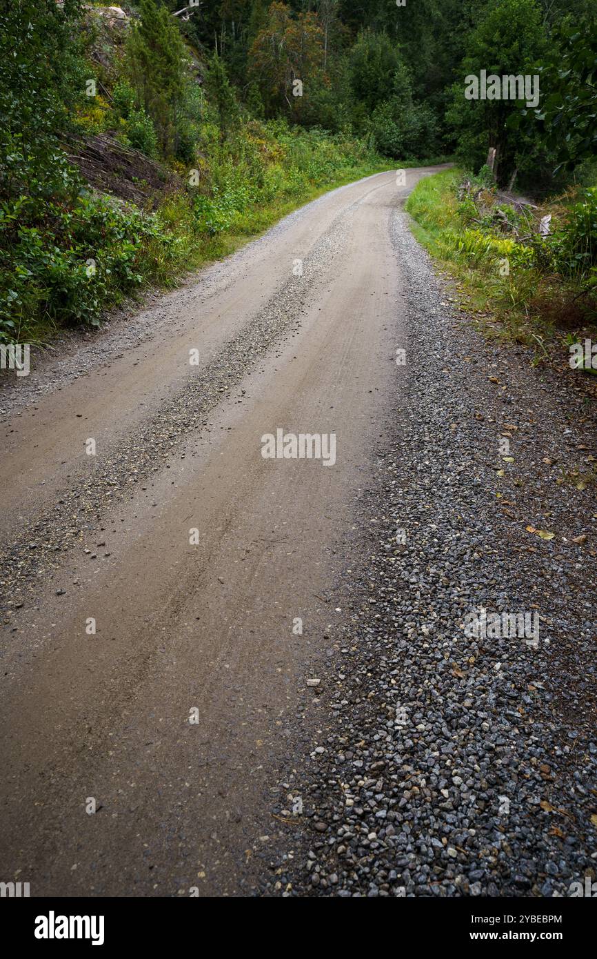 Gravel road winding through green forest in Finland Stock Photo - Alamy
