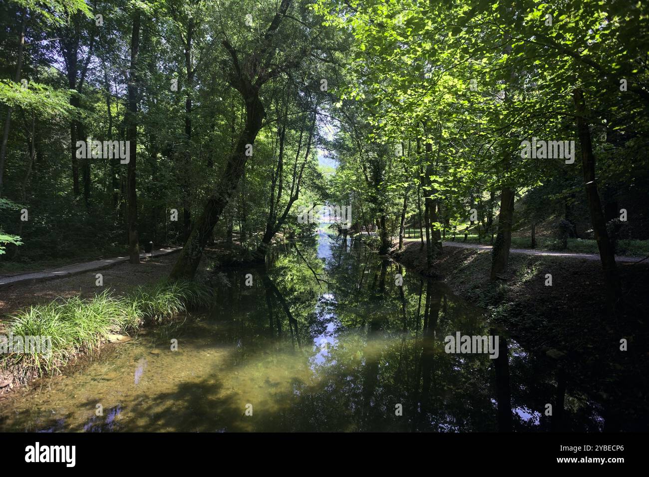 Opening from a lake to a river passing through a forest with trees ...